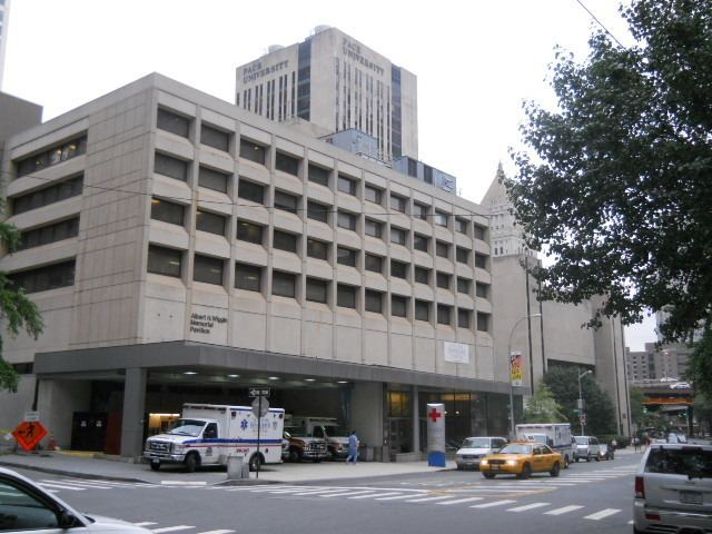 Lower Manhattan Hospital