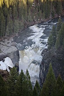 Lower Mesa Falls httpsuploadwikimediaorgwikipediacommonsthu