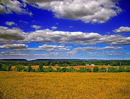 Lower Mount Bethel Township, Northampton County, Pennsylvania httpsuploadwikimediaorgwikipediacommonsthu