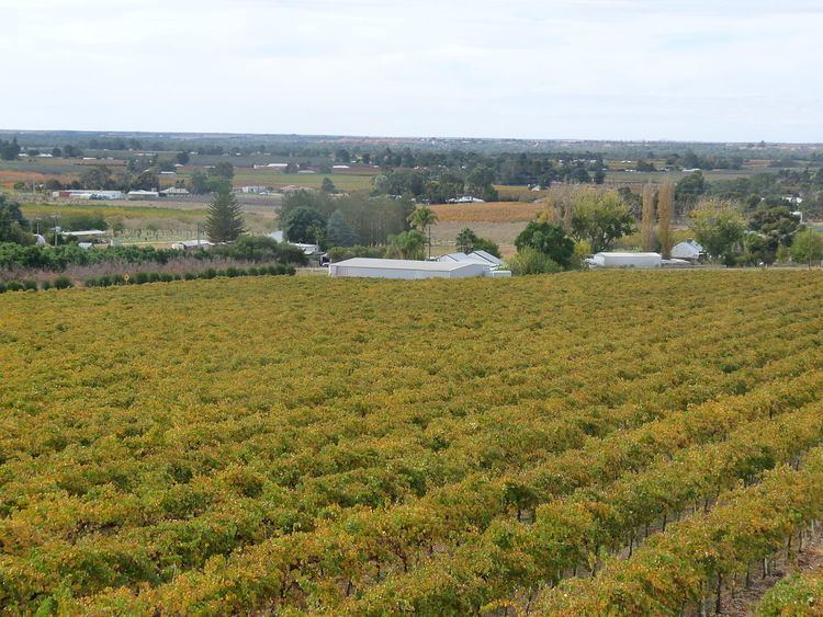 Lower Murray zone (wine)