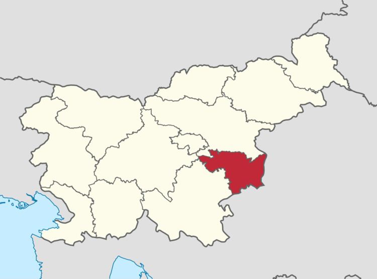 Lower Sava Statistical Region