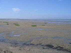 Lower Saxon Wadden Sea National Park httpsuploadwikimediaorgwikipediacommonsthu