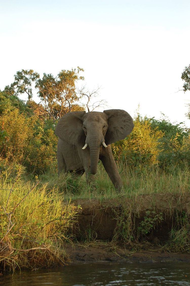 Lower Zambezi National Park