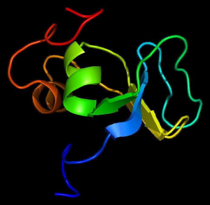 LTBP1 (gene)