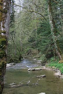 Lützel (river) httpsuploadwikimediaorgwikipediacommonsthu