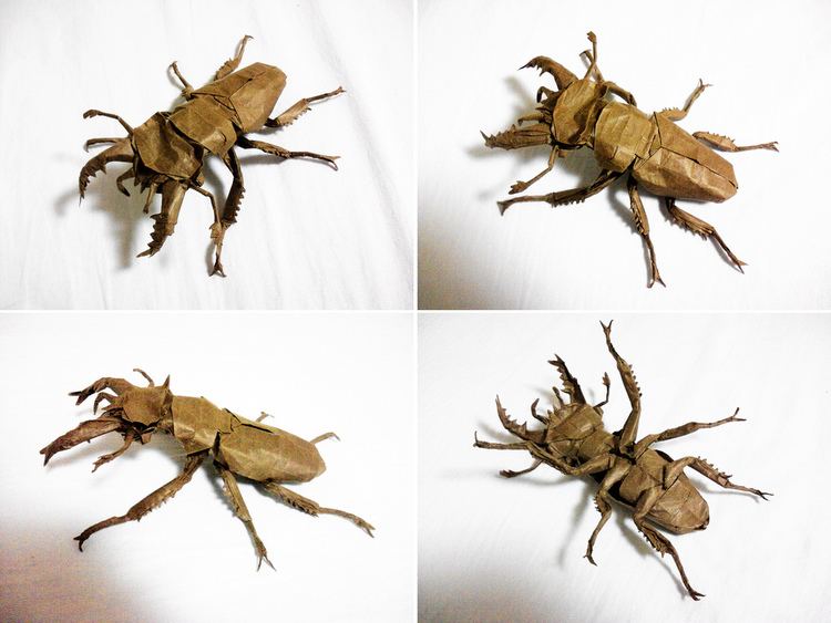 Lucanus maculifemoratus Lucanus maculifemoratus Designed and folded by me Made fr Flickr