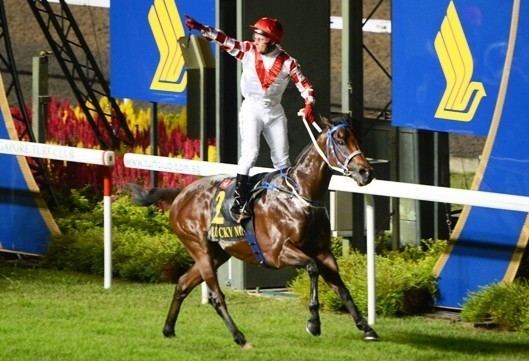 Lucky Nine (racehorse) wwwturfclubcomsgMediaCenterRacingNewsPicture