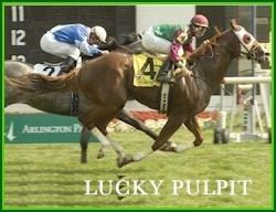 Lucky Pulpit Thoroughbred stallion LUCKY PULPIT