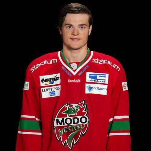 Ludvig Bystrom Ludwig Bystrm Modo Hockey SHL SvenskaFanscom
