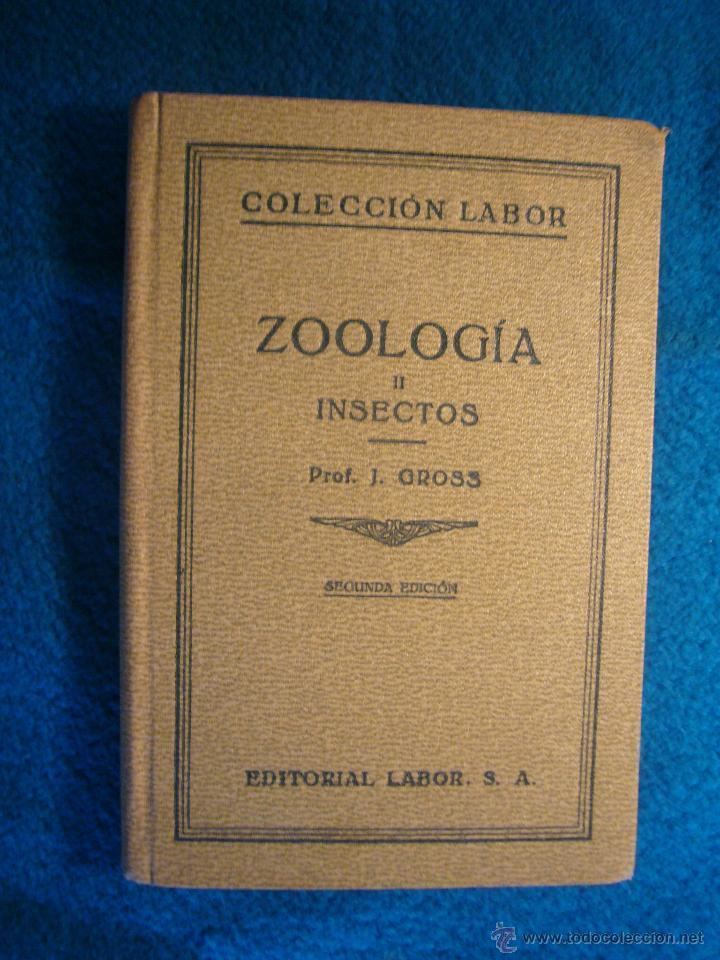 Ludwig Böhmig ludwig bhmig zoologia ii insectos barc Comprar Libros de