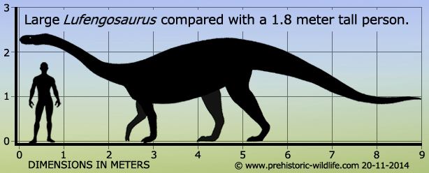 Lufengosaurus Lufengosaurus