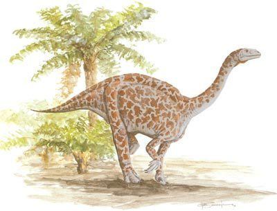 Lufengosaurus Lufengosaurus HowStuffWorks