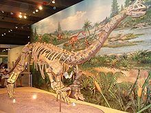 Lufengosaurus httpsuploadwikimediaorgwikipediacommonsthu