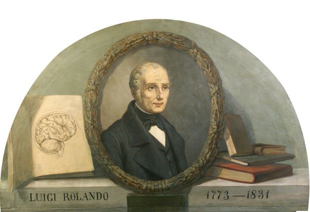 Luigi Rolando 