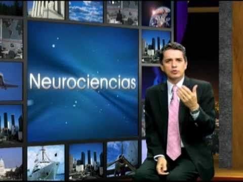 Luis Gaviria NeuroCoaching Mision Cursos Coaching Luis Gaviria YouTube