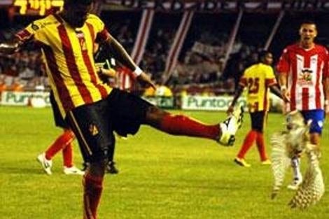 Luis Moreno (footballer) estaticos02elmundoesamericaimagenes20110302