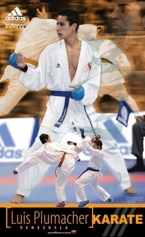 Luis Plumacher Luis Plumacher Photo gallery Karate Records Karate results and