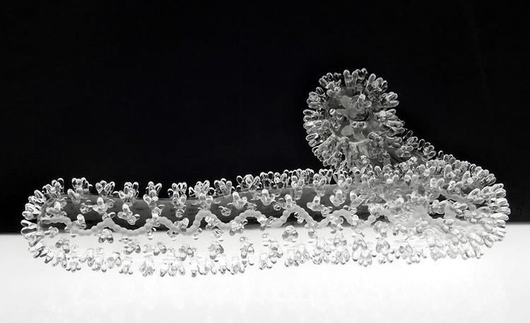 Luke Jerram delicateglasssculpturesofdeadlyvirusesbylukejerramdesignboom30jpg