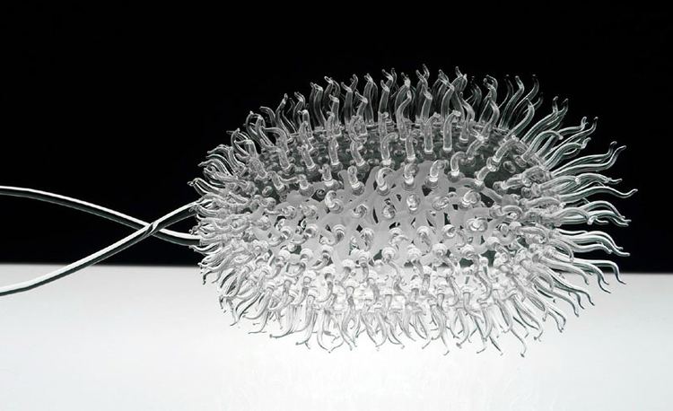 Luke Jerram delicateglasssculpturesofdeadlyvirusesbylukejerramdesignboom19jpg