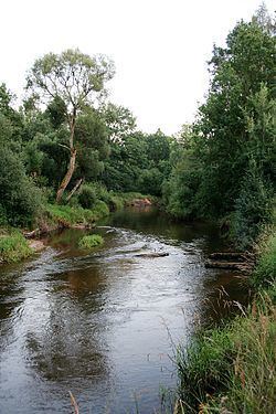 Lužnice (river) httpsuploadwikimediaorgwikipediacommonsthu