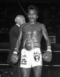 Lupe Pintor BoxRec Lupe Pintor