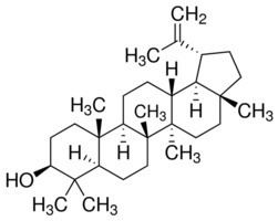 Lupeol Lupeol 94 SigmaAldrich