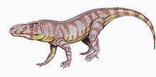 Luperosuchus httpsuploadwikimediaorgwikipediacommonsthu