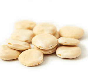 Lupin bean Top health benefits of Lupini beans HB times