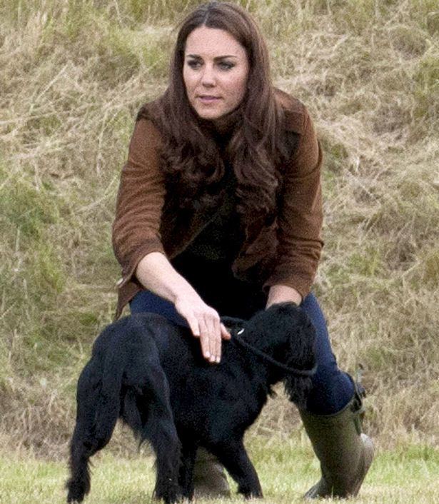 Lupo (dog) Kate Middleton puppy Lupo A year in the life of the royal dog