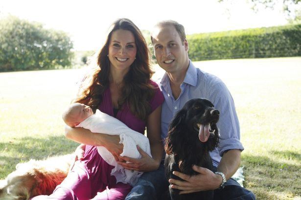 Lupo (dog) Queen bans Kate Middleton dog Lupo the cocker spaniel from Royal