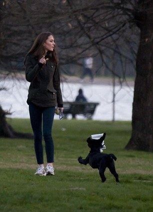 Lupo (dog) Duchess of Cambridge Kate Middleton39s dog Lupo snapped in hot