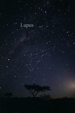 Lupus (constellation) Lupus constellation Wikipedia