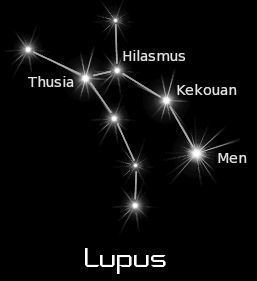 Lupus (constellation) Lupus Constellation Constellations Lupus Wolf my story ideas