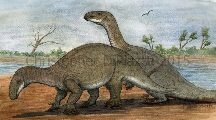 Lurdusaurus Prehistoric Beast of the Week Lurdusaurus Beast of the Week