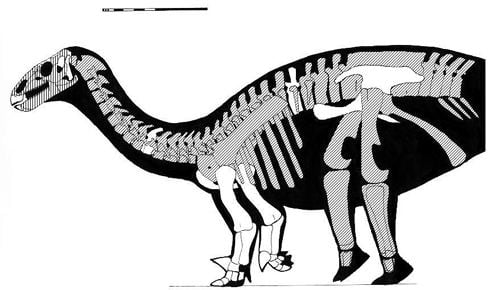 Lurdusaurus Lurdusaurus stupidest looking iguanodontian and a pneumatic