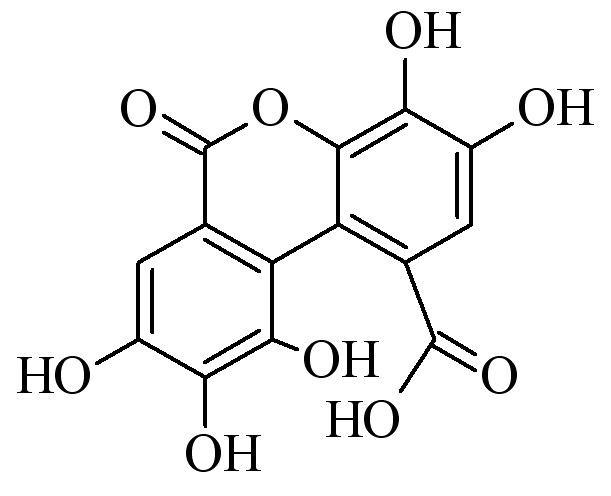 Luteic acid httpsuploadwikimediaorgwikipediacommons44