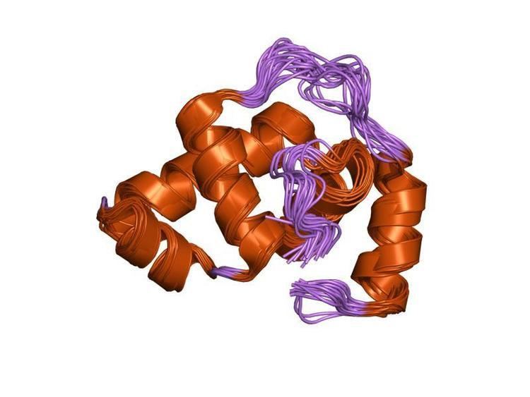 LuxR-type DNA-binding HTH domain