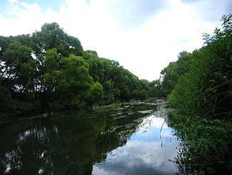 Luzha River httpsuploadwikimediaorgwikipediacommonsthu