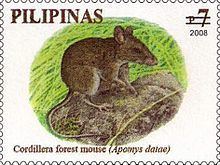 Luzon montane forest mouse httpsuploadwikimediaorgwikipediacommonsthu