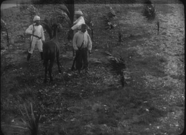 Løvejagten Viggo Larsen Lvejagten AKA The Lion Hunt 1907 Cinema of the World