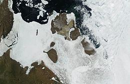 Lyakhovsky Islands httpsuploadwikimediaorgwikipediacommonsthu