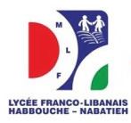 Lycée Franco-Libanais Habbouche-Nabatieh httpsuploadwikimediaorgwikipediaenddfLyc