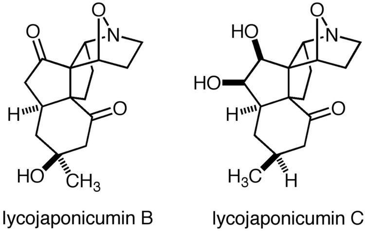 Lycojaponicumin