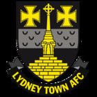 Lydney Town A.F.C. httpsuploadwikimediaorgwikipediaenthumb6