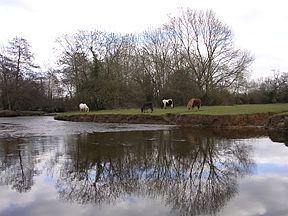 Lymington River httpsuploadwikimediaorgwikipediacommonsthu