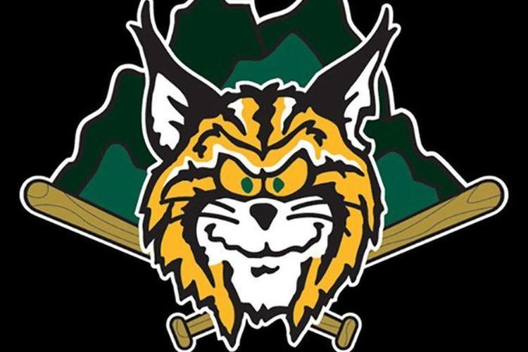 Lynchburg Hillcats Voting to rename the Lynchburg Hillcats is now open Let39s Go Tribe