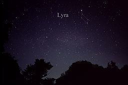 Lyra Lyra Wikipedia