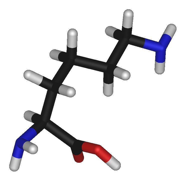 Lysine (data page)