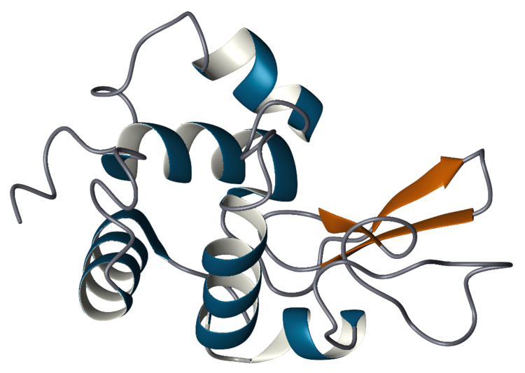 Lysozyme BMRB Featured System Lysozyme