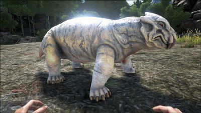 Lystrosaurus Lystrosaurus Official ARK Survival Evolved Wiki